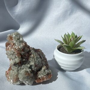 Bicolored Aragonite Cluster